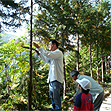 大黒柱伐採ツアー　仲南の森　香川県産檜（ひのき）の森